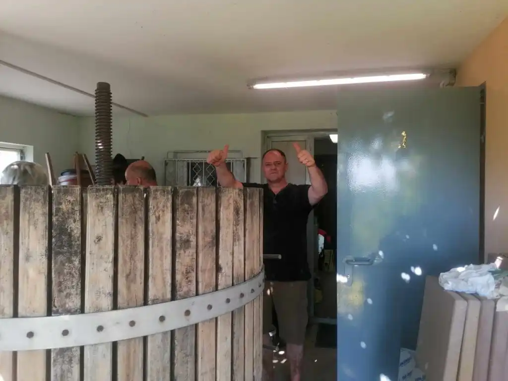 berba na balog bregu (29)