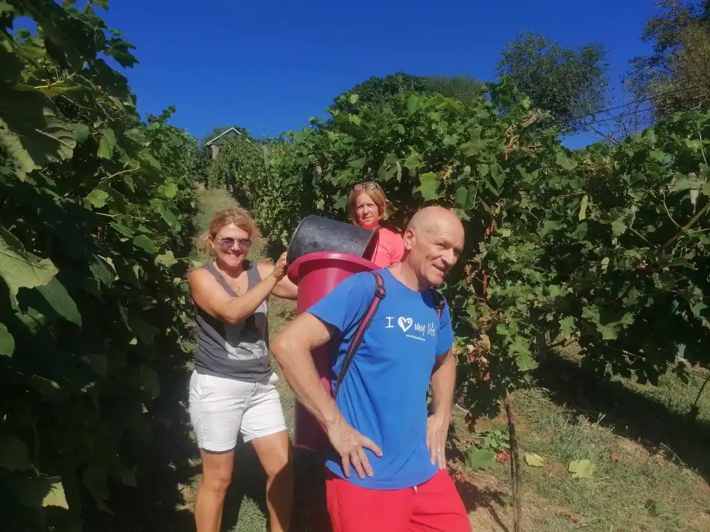 berba na balog bregu (33)