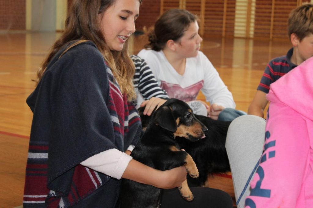 1459008753621043990486017262014