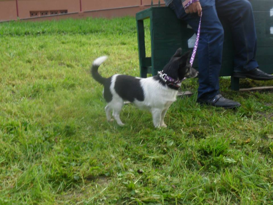 1030397132399893111668468244710