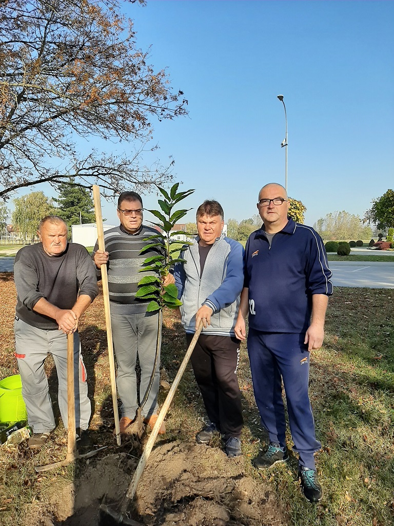 BRAVO, MEĐIMURCI U akciji sadnje drveća na širem čakovečkom području posađeno stotine novih stabala BRAVO, MEĐIMURCI U akciji sadnje drveća na širem čakovečkom području posađeno stotine novih stabala
