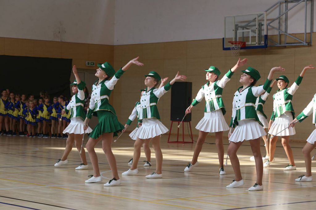 2198178310213080808911835106664