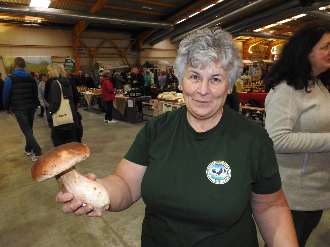 Martinje Nedelišće, 2023, Mesap