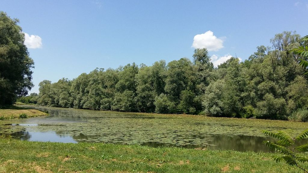 1949631313685237532171311012597