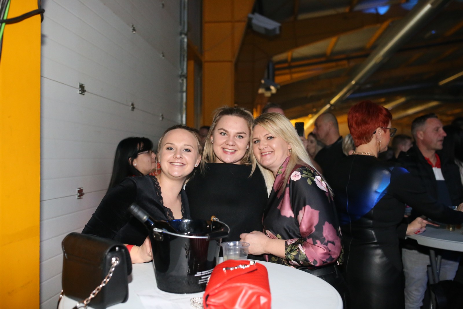 Lepa Brena, druga večer na Mesapu