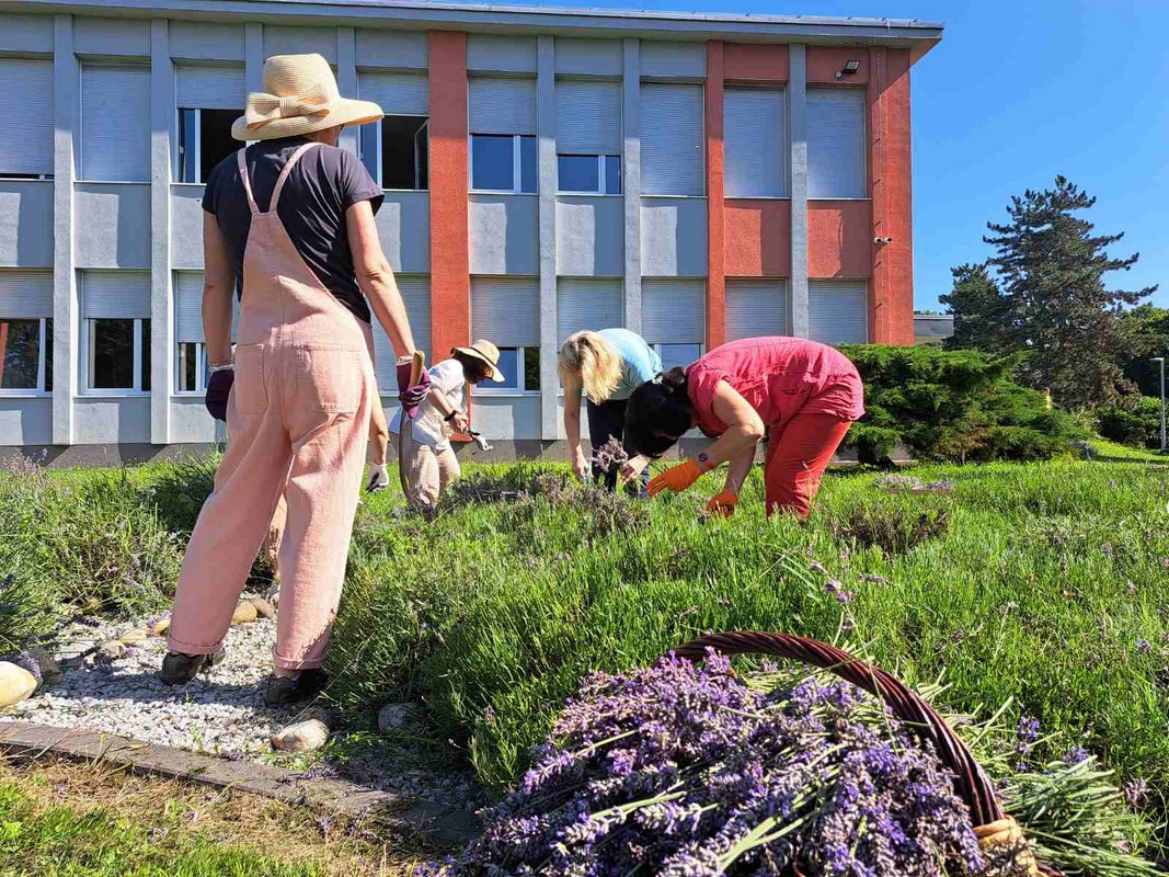 Mirisni vrt ETŠ Čakovec