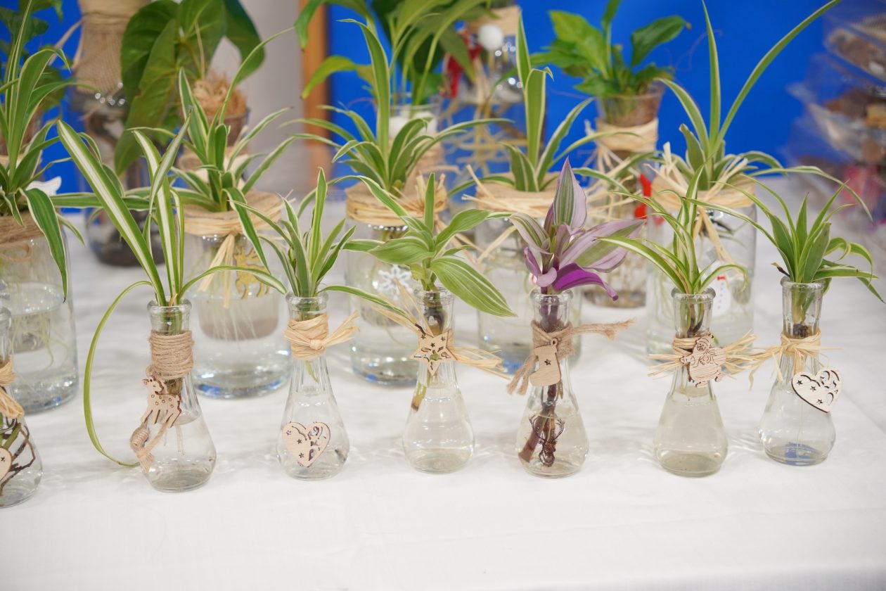 biljke božićna priredba OŠ Strahoninec (34)