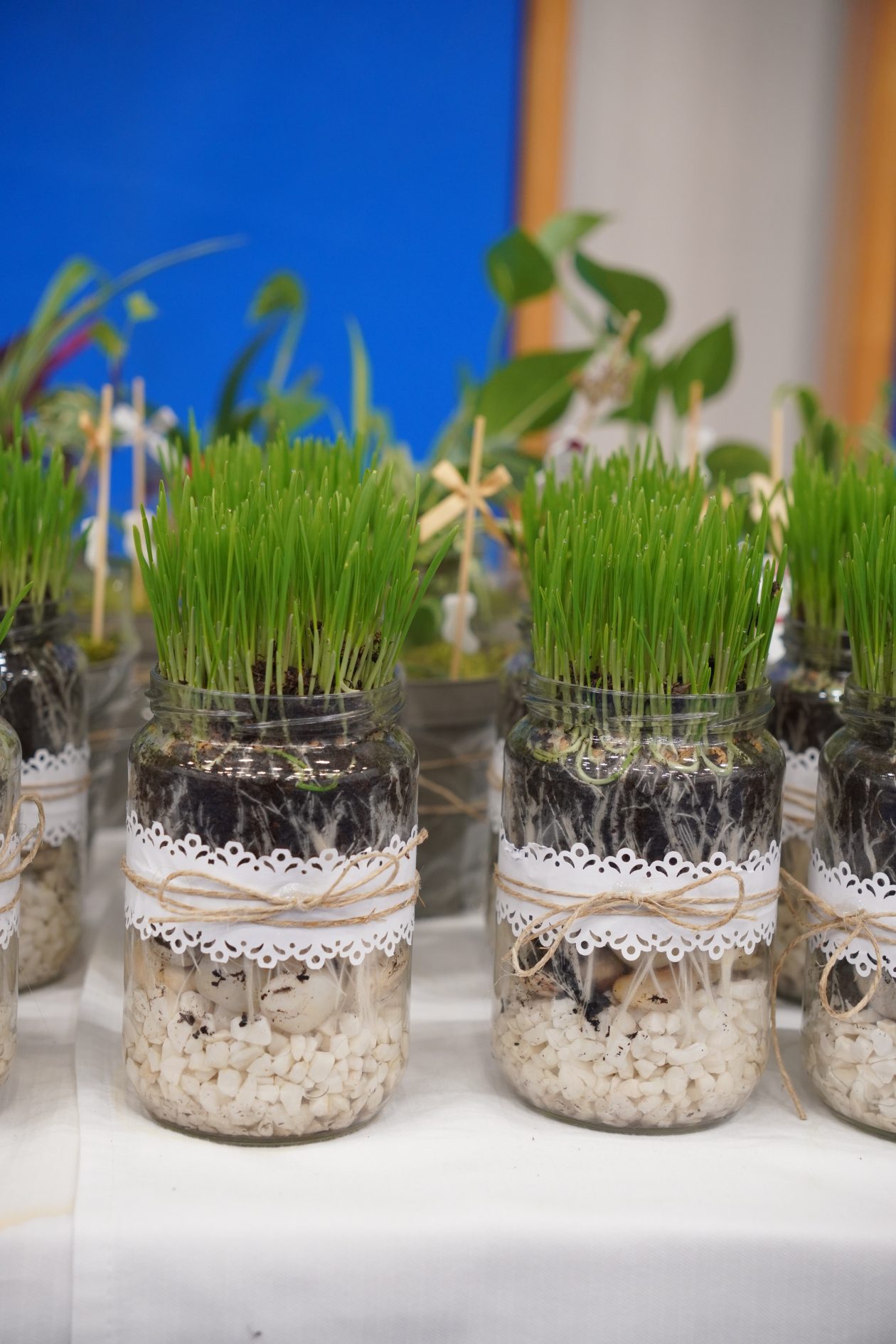 biljke božićna priredba OŠ Strahoninec (37)