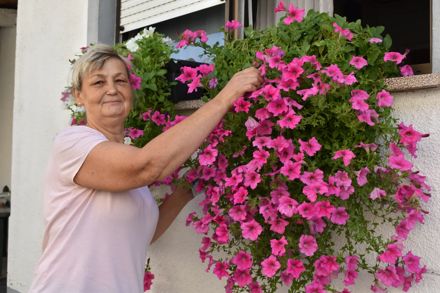 biserka hajdarović (3) biserka hajdarović (3)