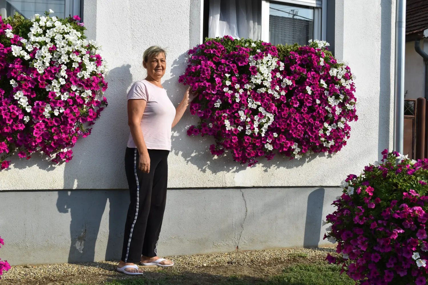 biserka hajdarović (4) biserka hajdarović (4)