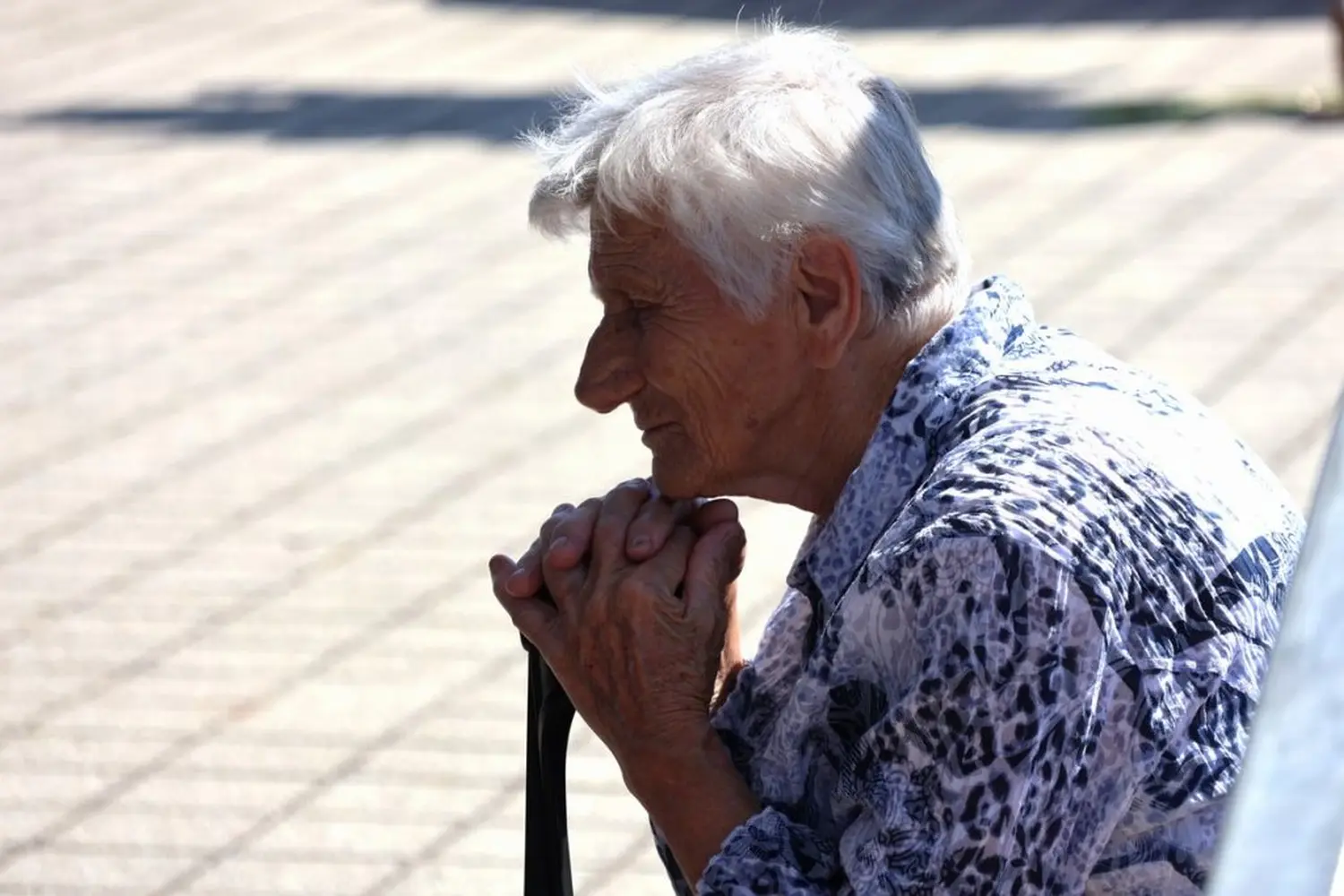 blagdan sv. lovre, lovreče, cirkovljan (14)