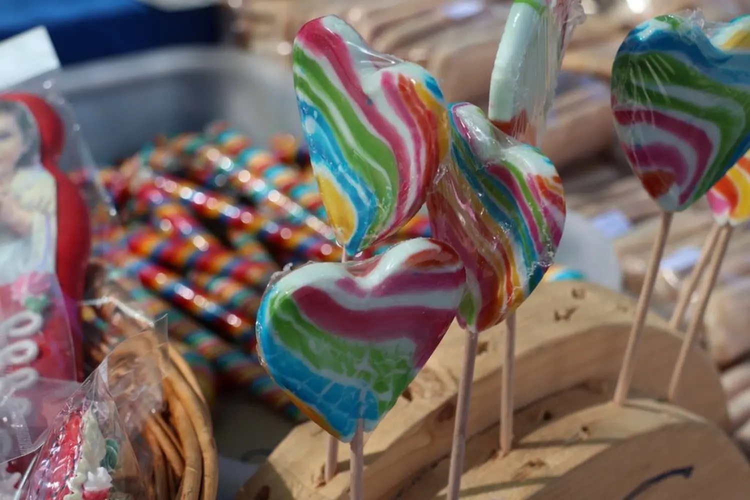 blagdan sv. lovre, lovreče, cirkovljan (17)