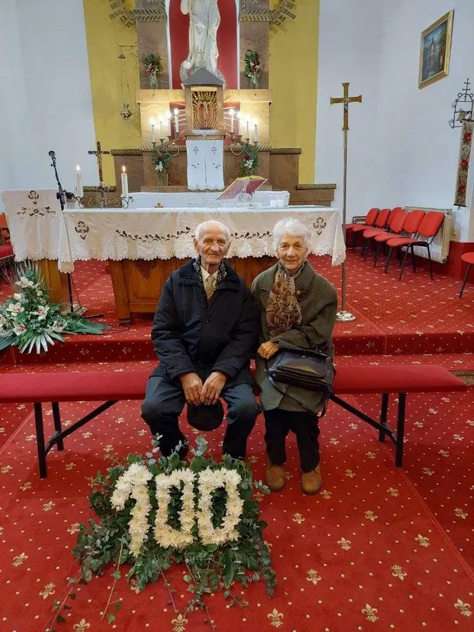 blaž brljak (1) blaž brljak (1)