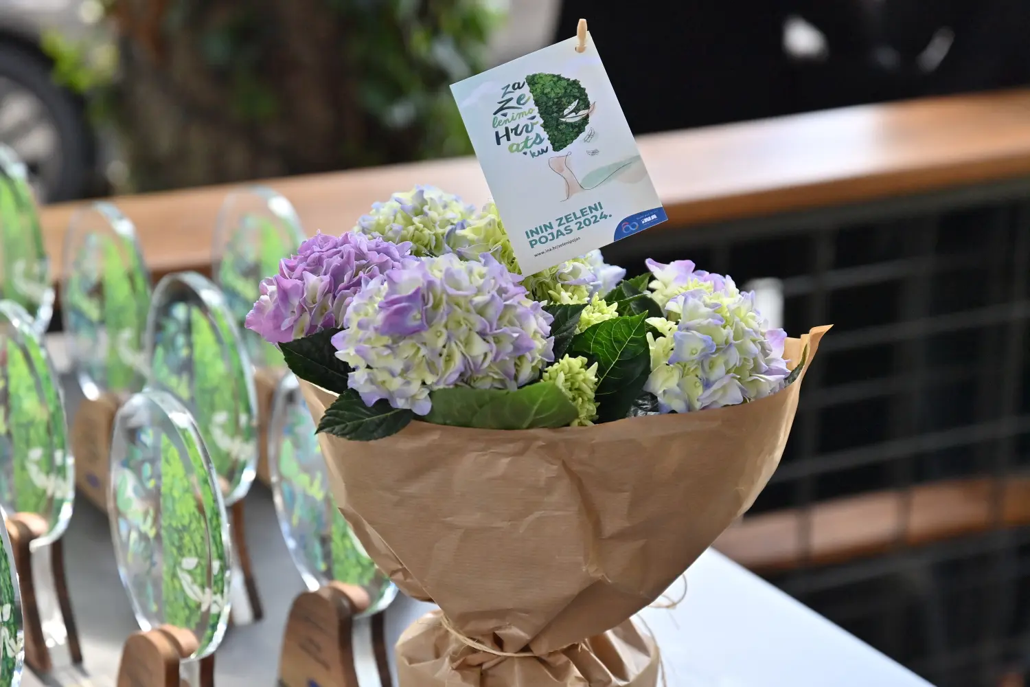 botanisti,ina (6) botanisti,ina (6)