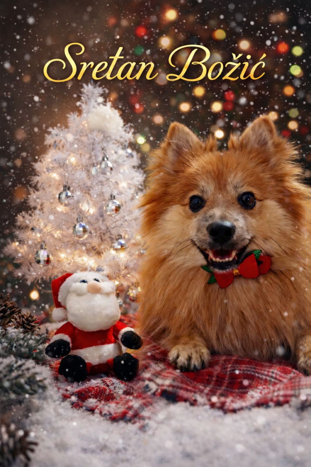 božić ljubimci pas mačka (68)