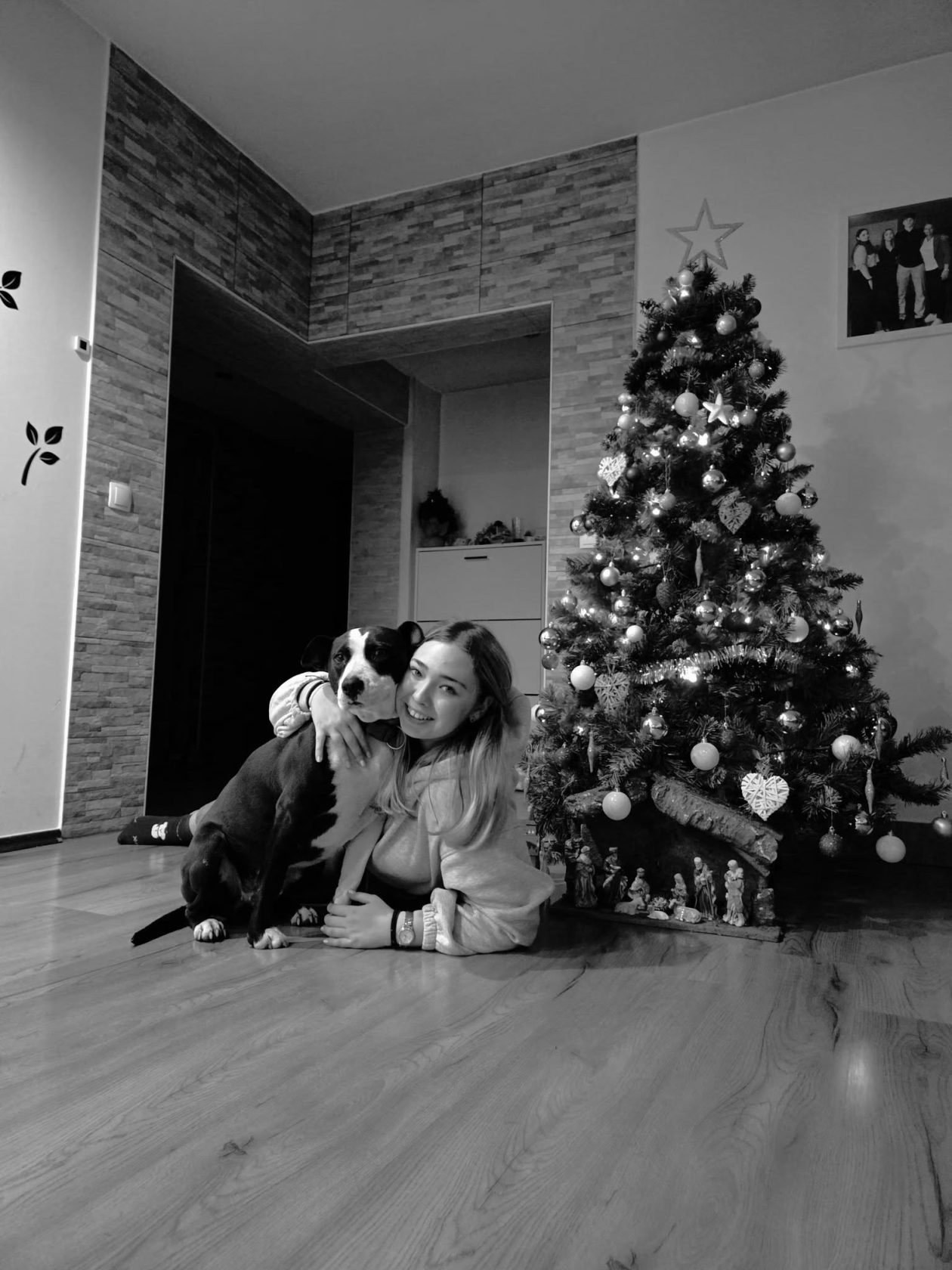 božić ljubimci pas mačka (90)