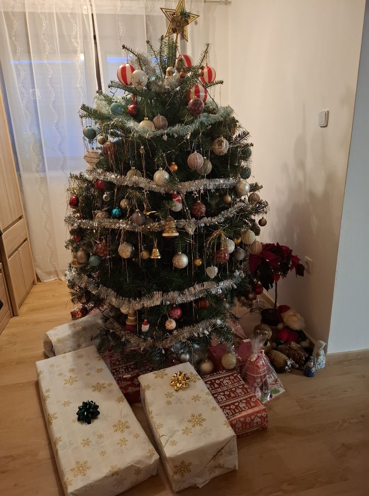 božićne jelke čitatelji (10)