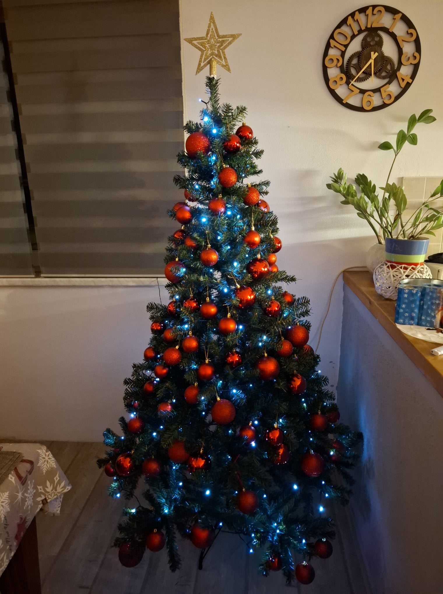 božićne jelke čitatelji (11)