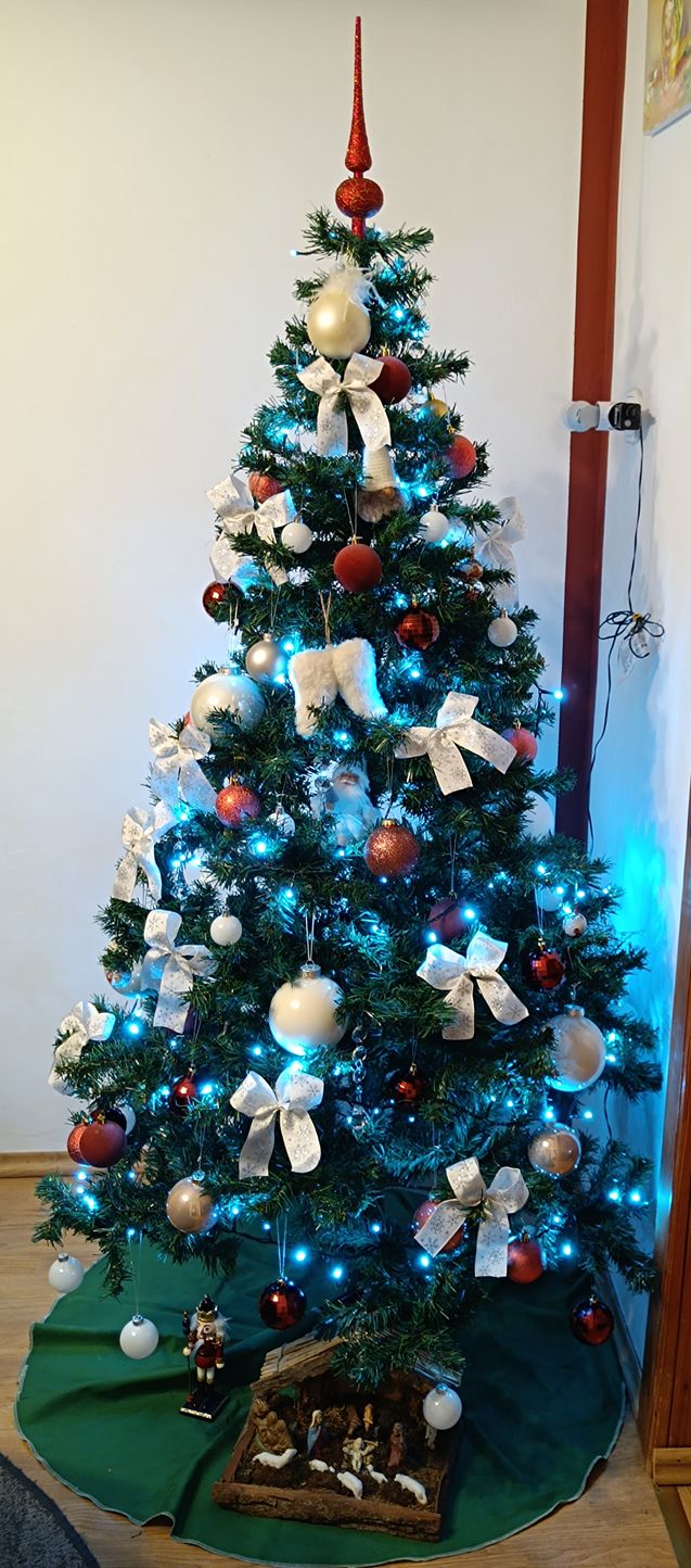 božićne jelke čitatelji (12)