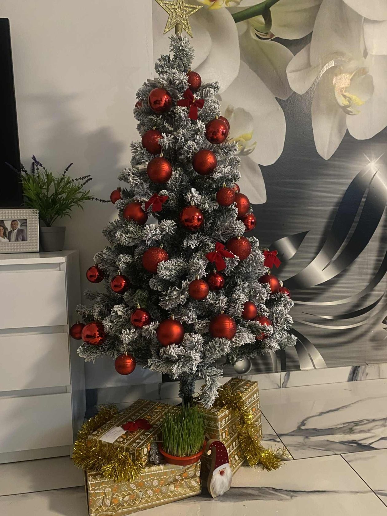 božićne jelke čitatelji (13)