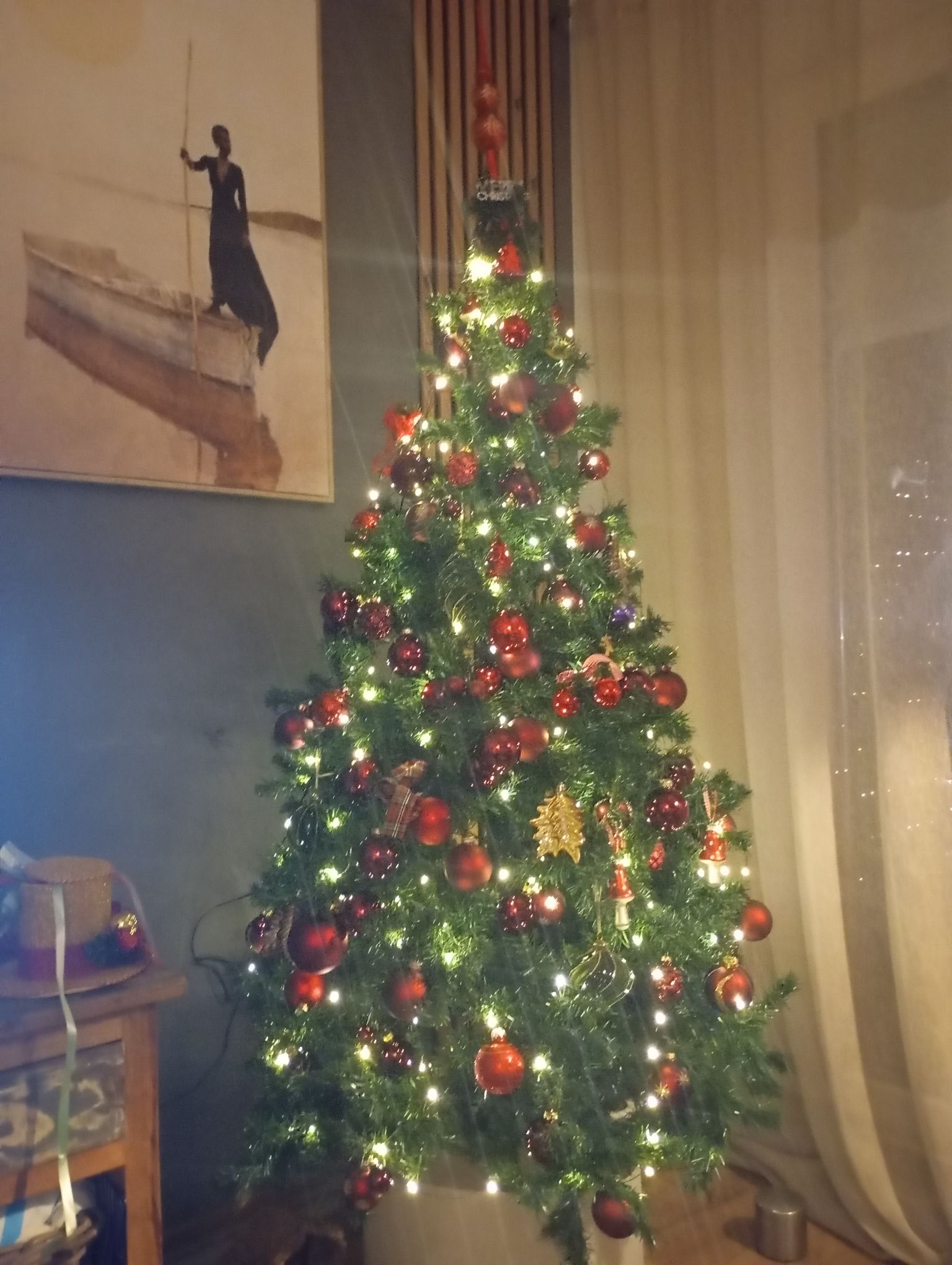 božićne jelke čitatelji (15)