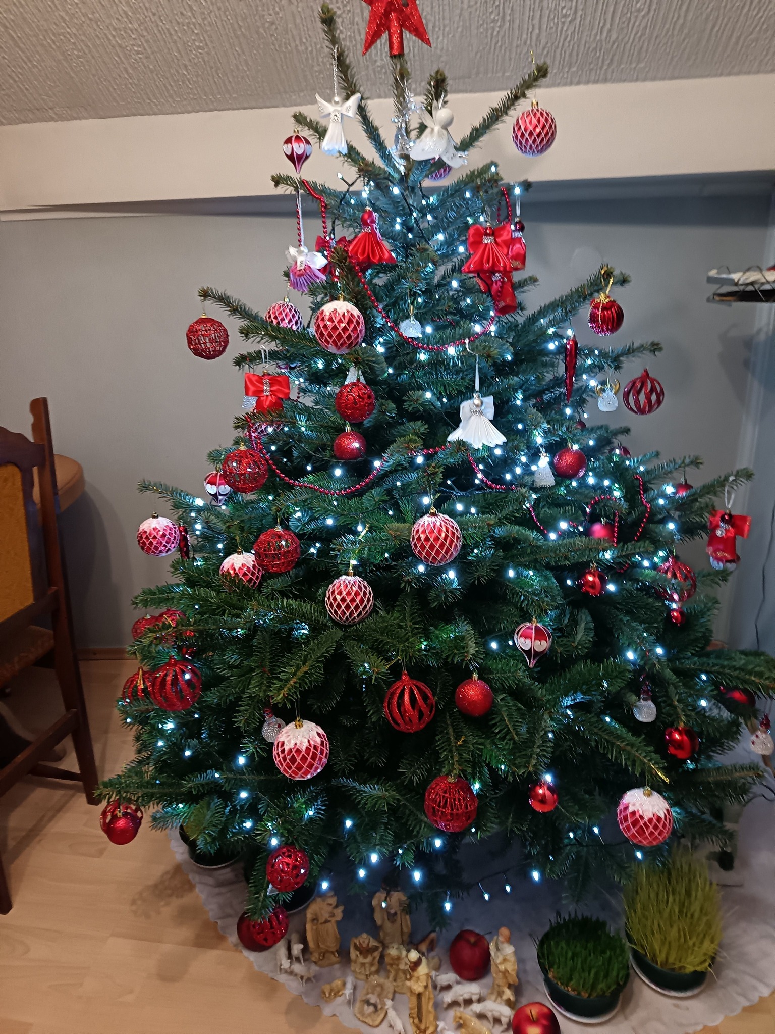 božićne jelke čitatelji (17)