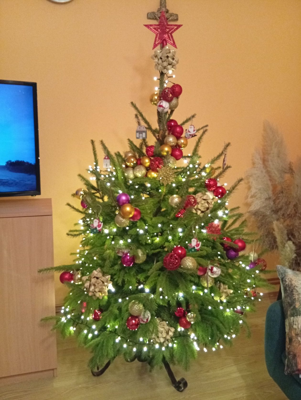 božićne jelke čitatelji (23)