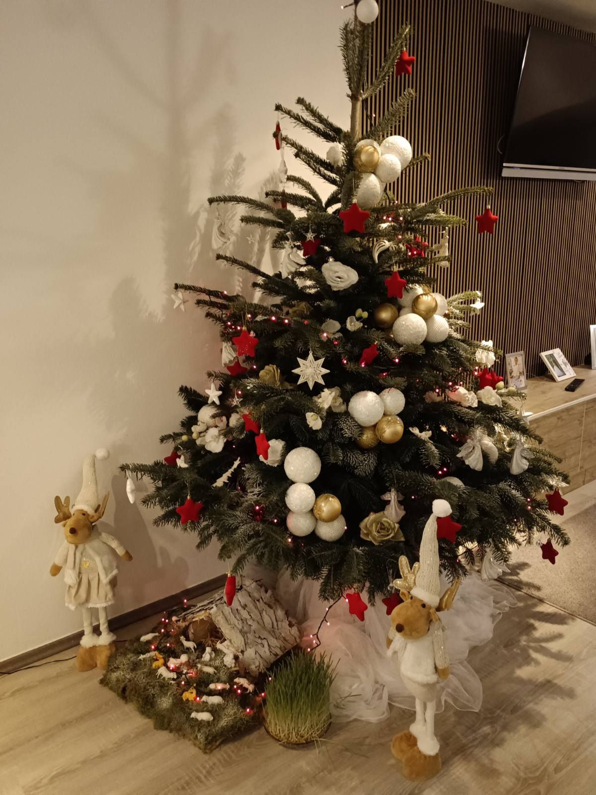 božićne jelke čitatelji (24)