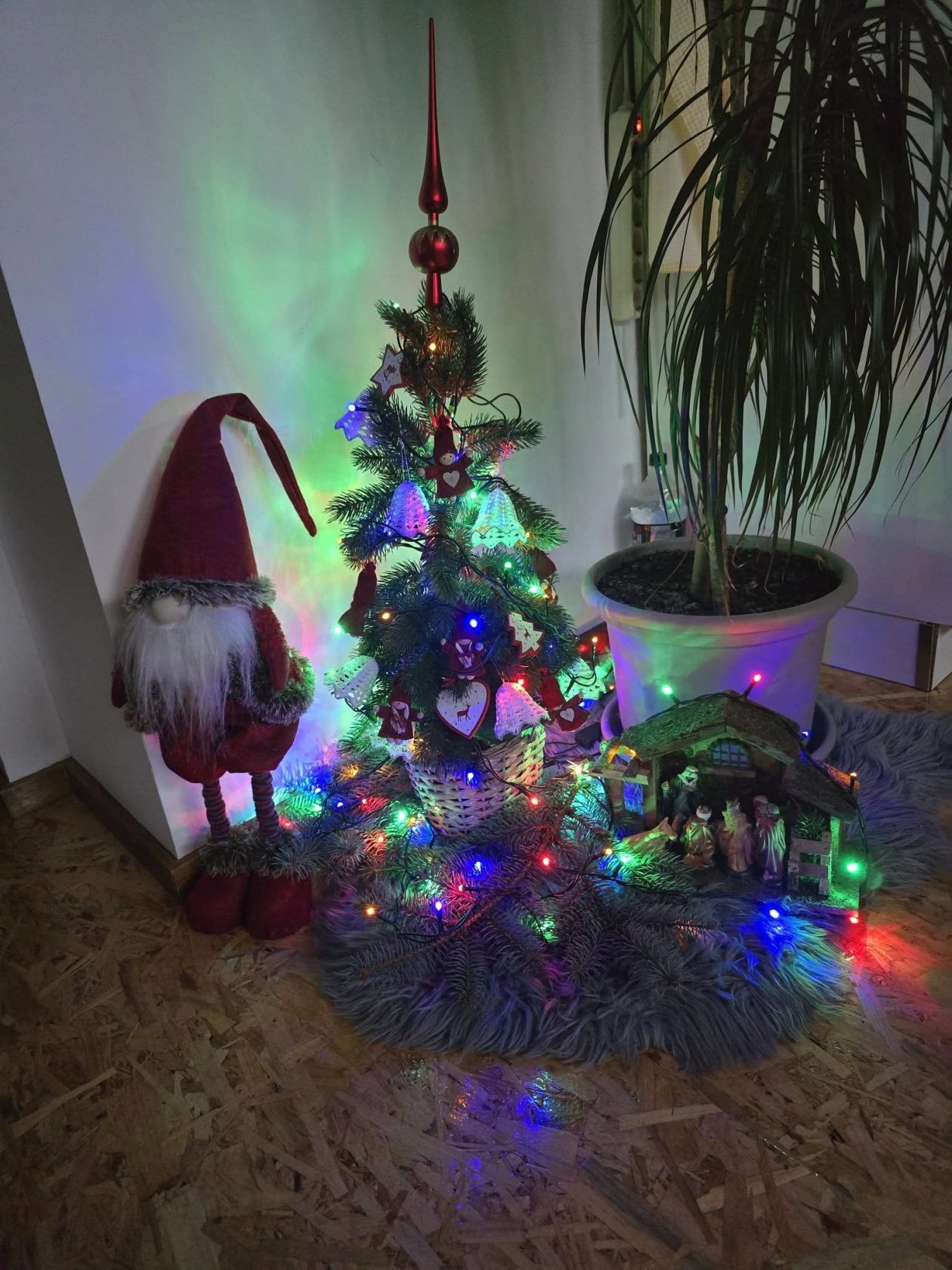 božićne jelke čitatelji (25)