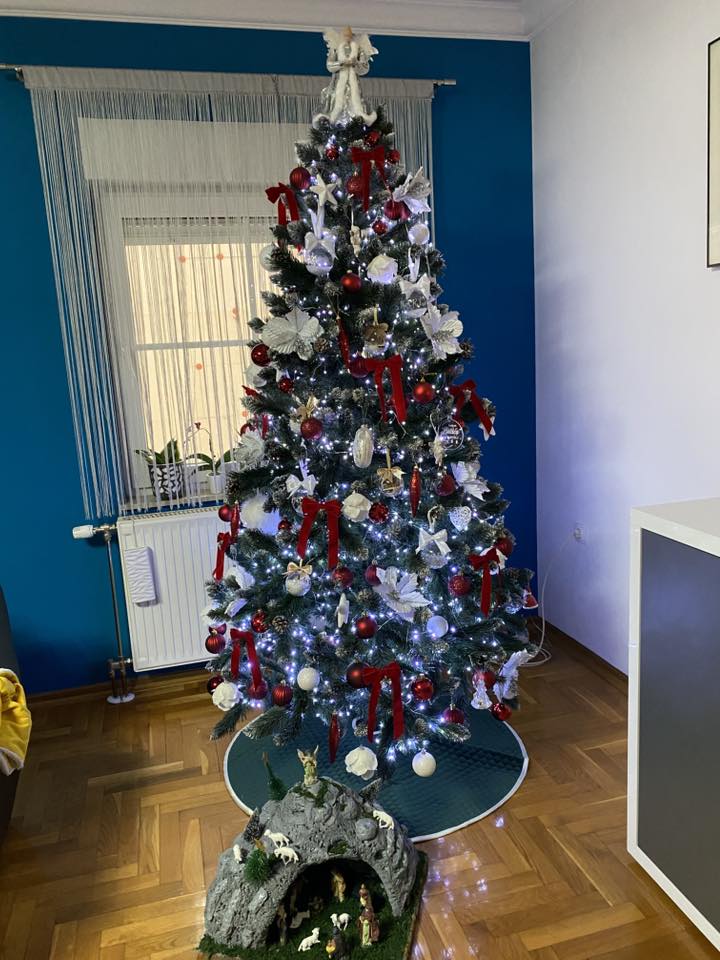 božićne jelke čitatelji (28)