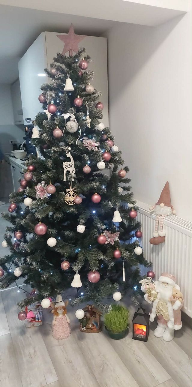 božićne jelke čitatelji (30)