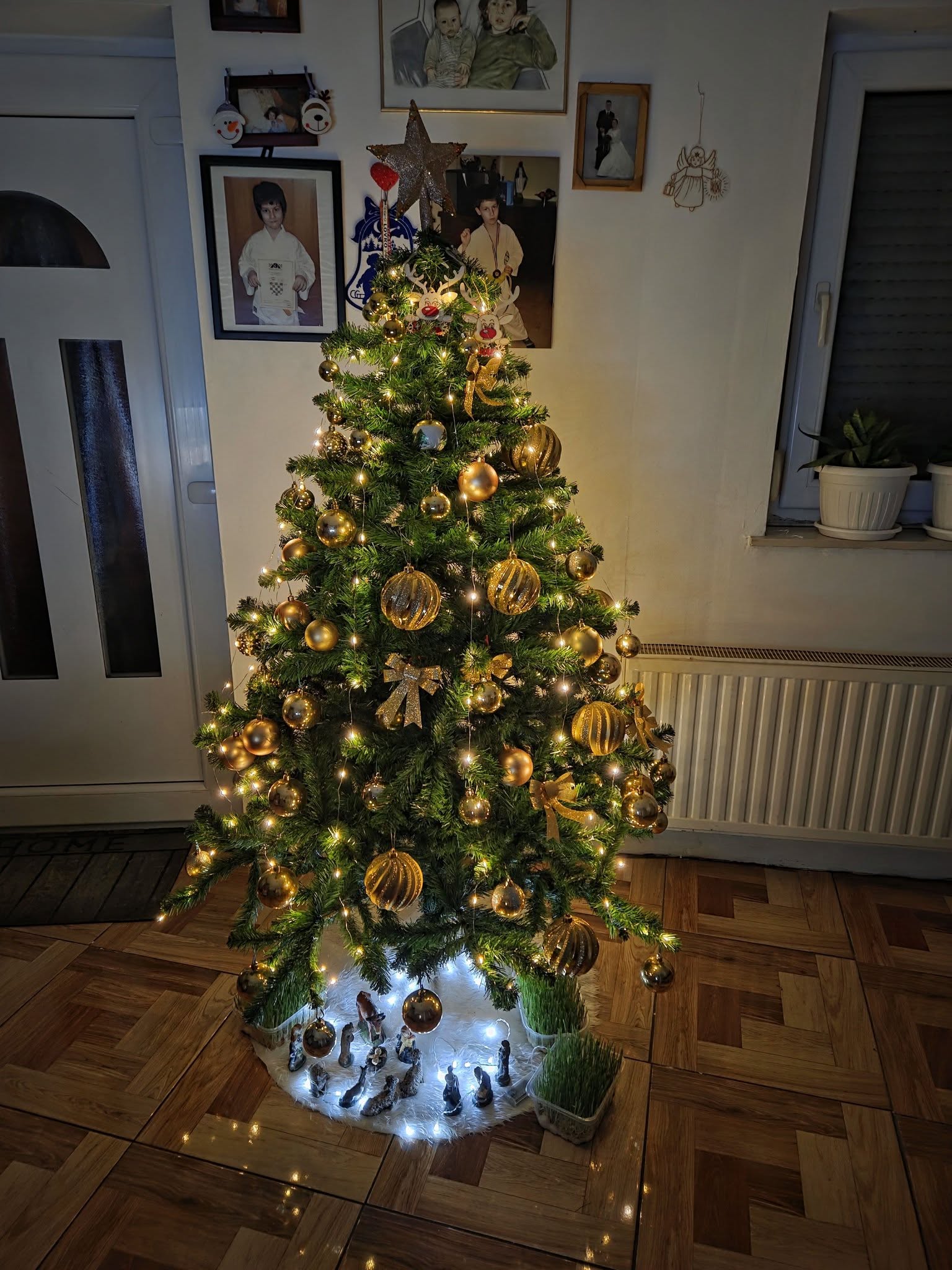 božićne jelke čitatelji (35)