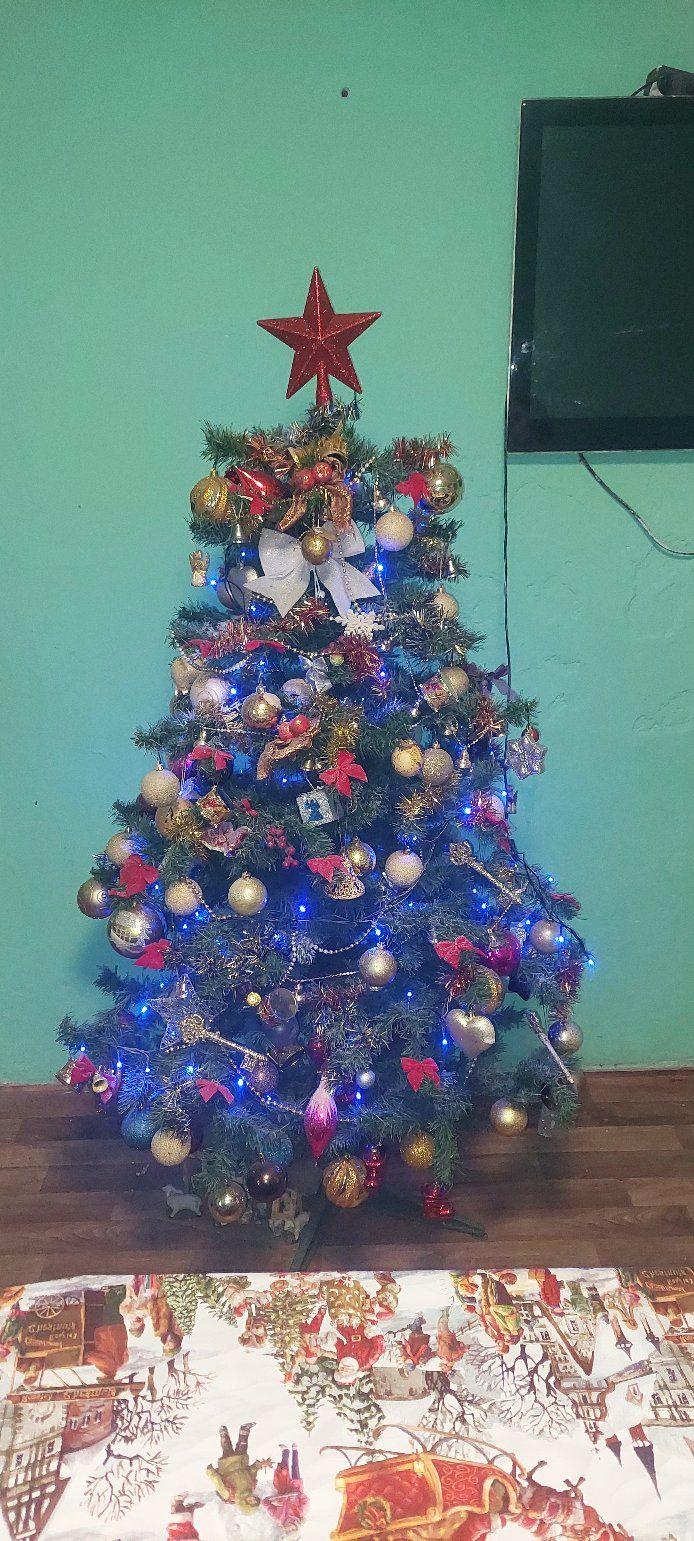 božićne jelke čitatelji (4)