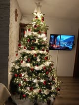 božićne jelke čitatelji (45)