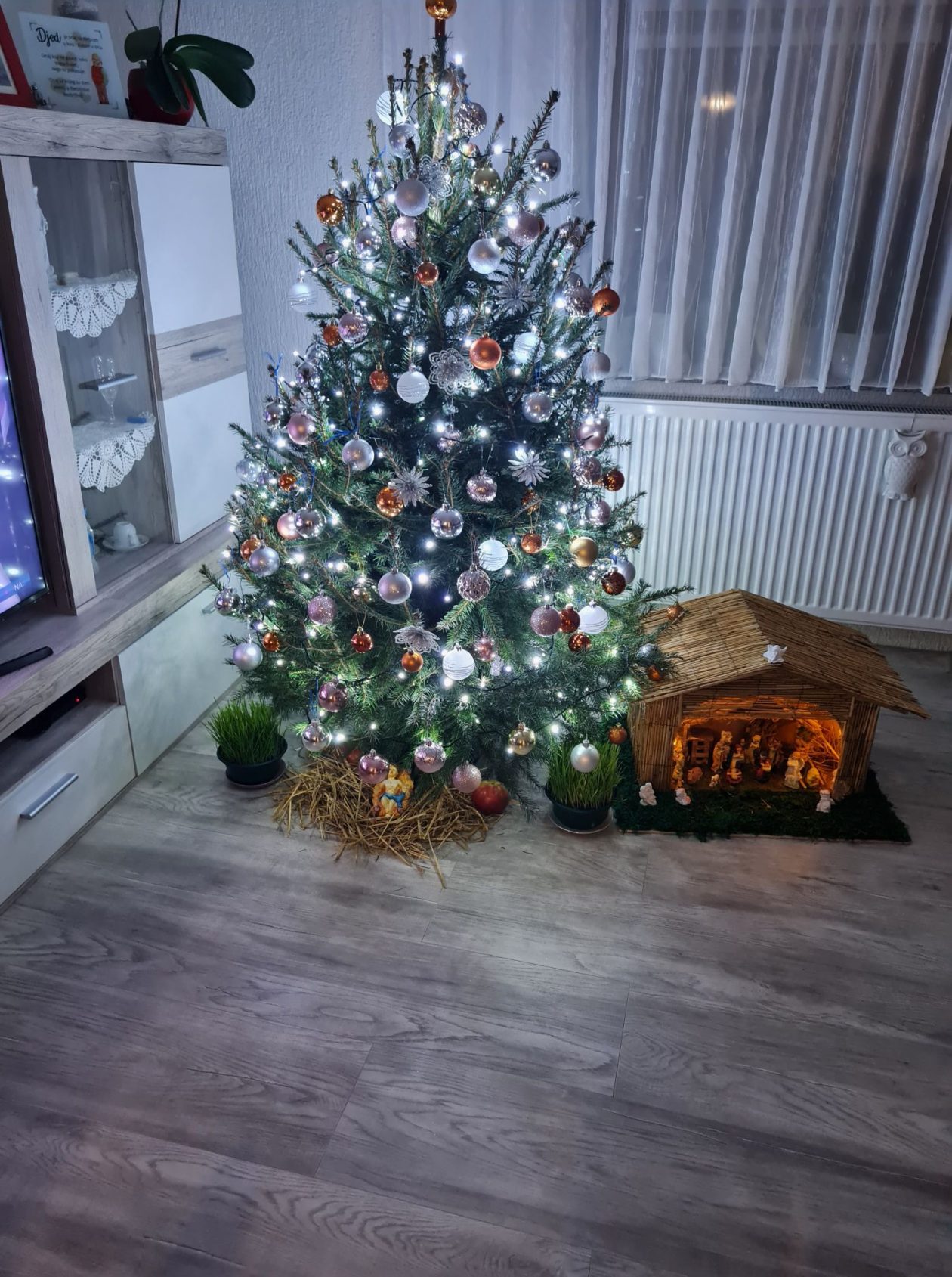 božićne jelke čitatelji (48)