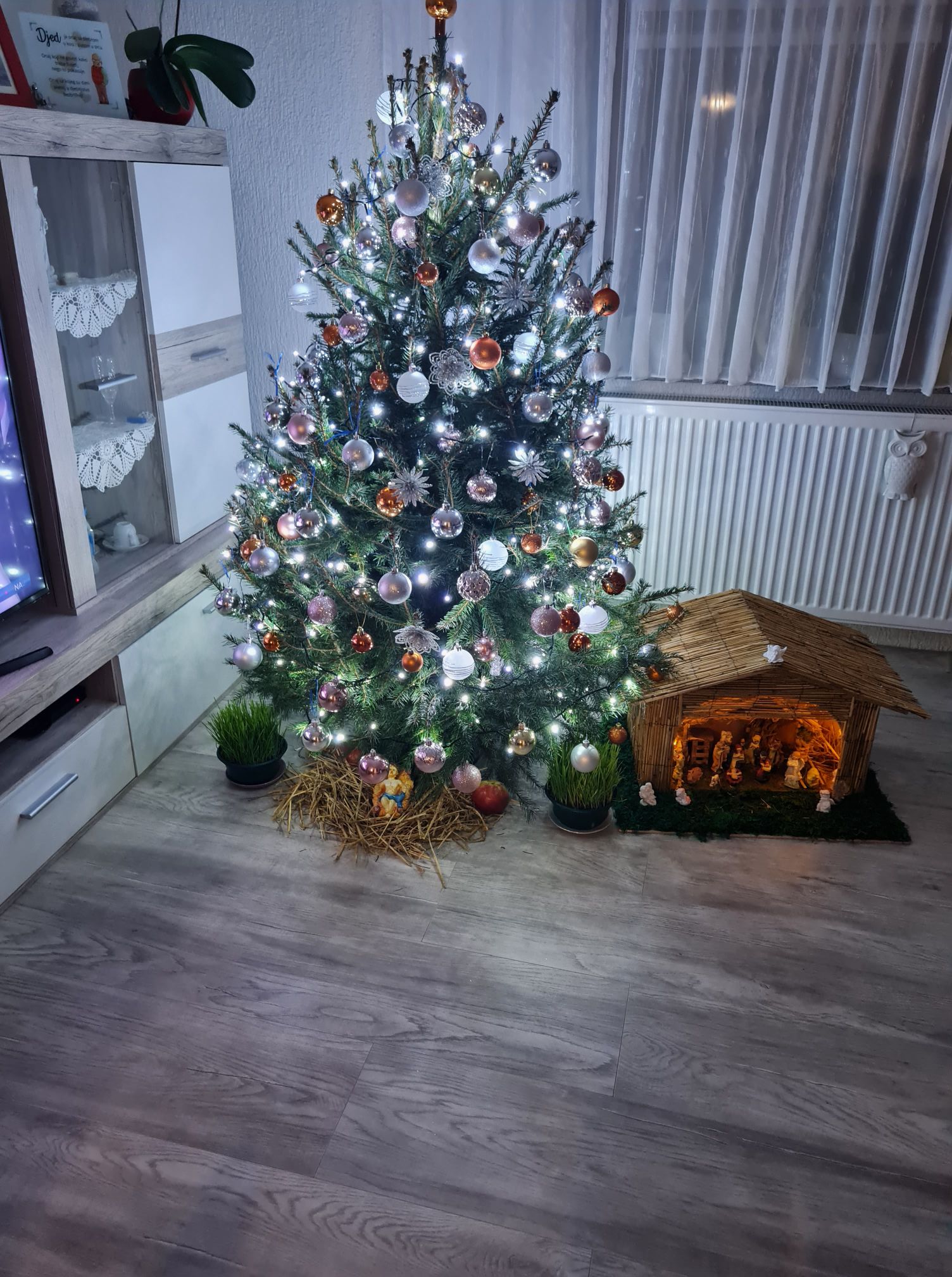 božićne jelke čitatelji (48)