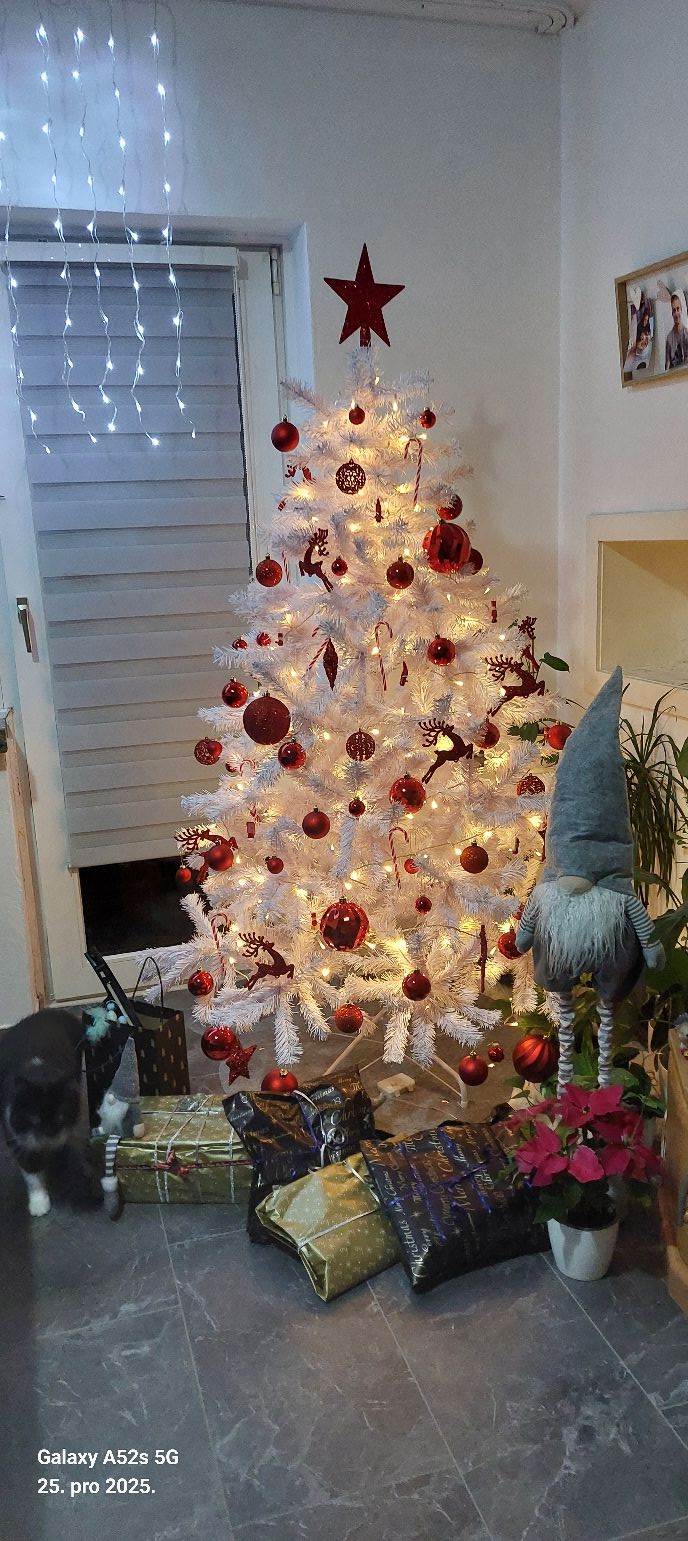 božićne jelke čitatelji (49)