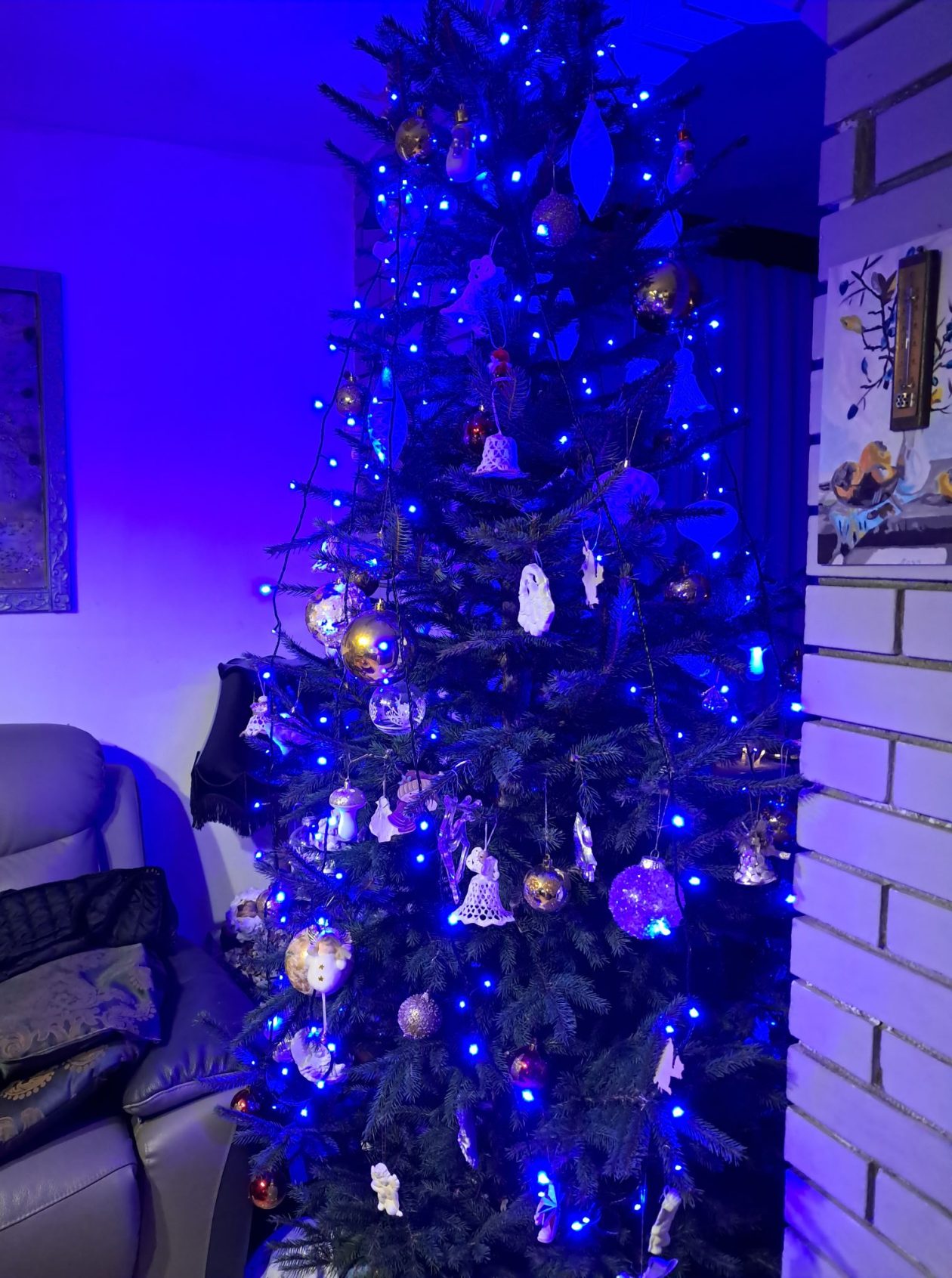 božićne jelke čitatelji (5)