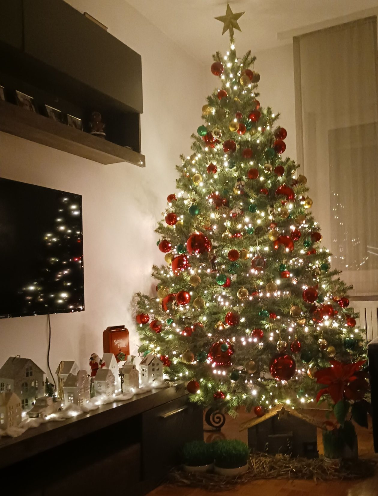 božićne jelke čitatelji (55)