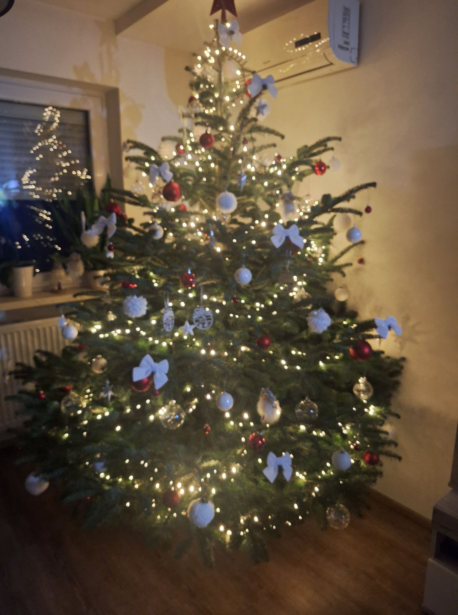 božićne jelke čitatelji (6)