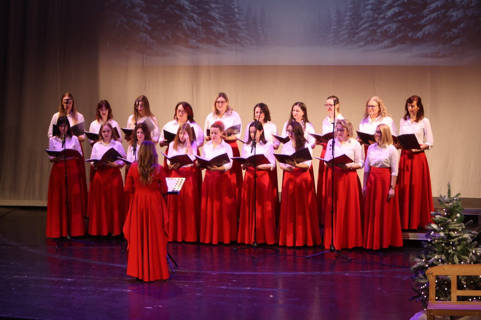 božićni koncert amateri čakovec (21)