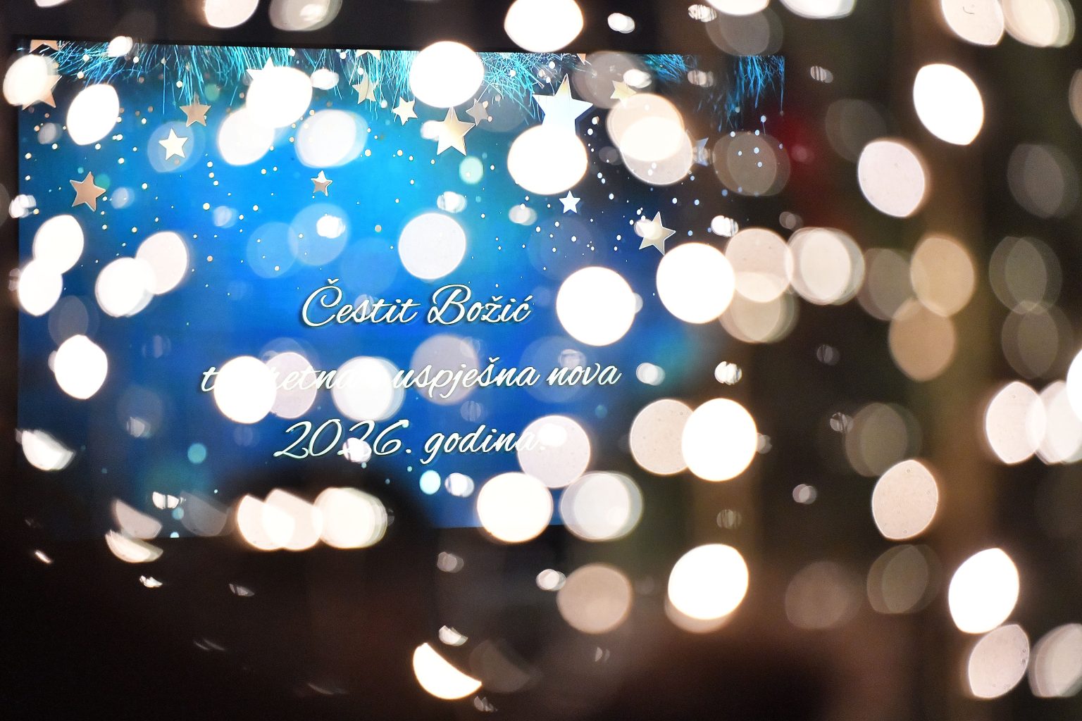 božićni prijem Ljerka Cividini (23)