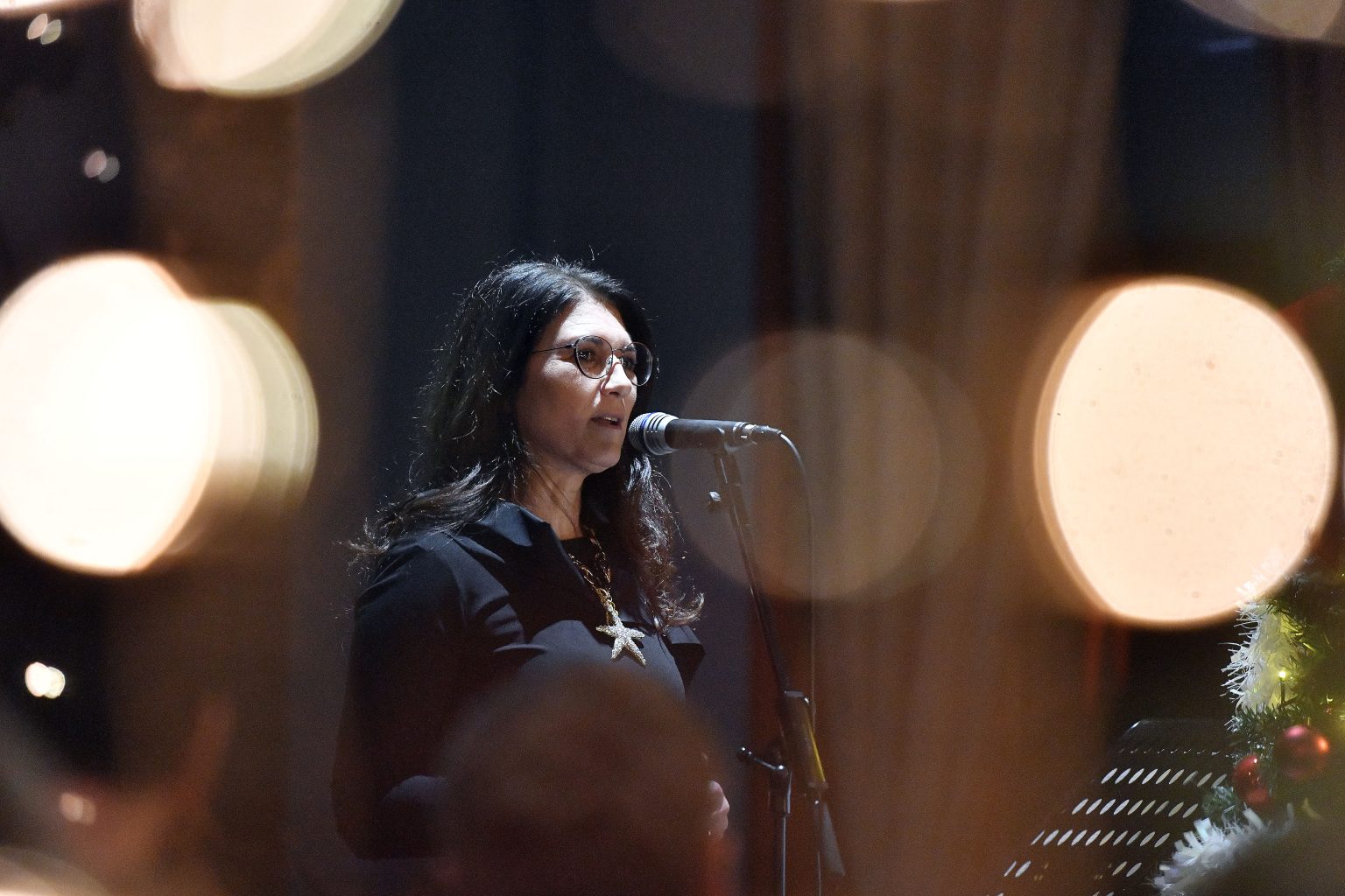 božićni prijem Ljerka Cividini (24)