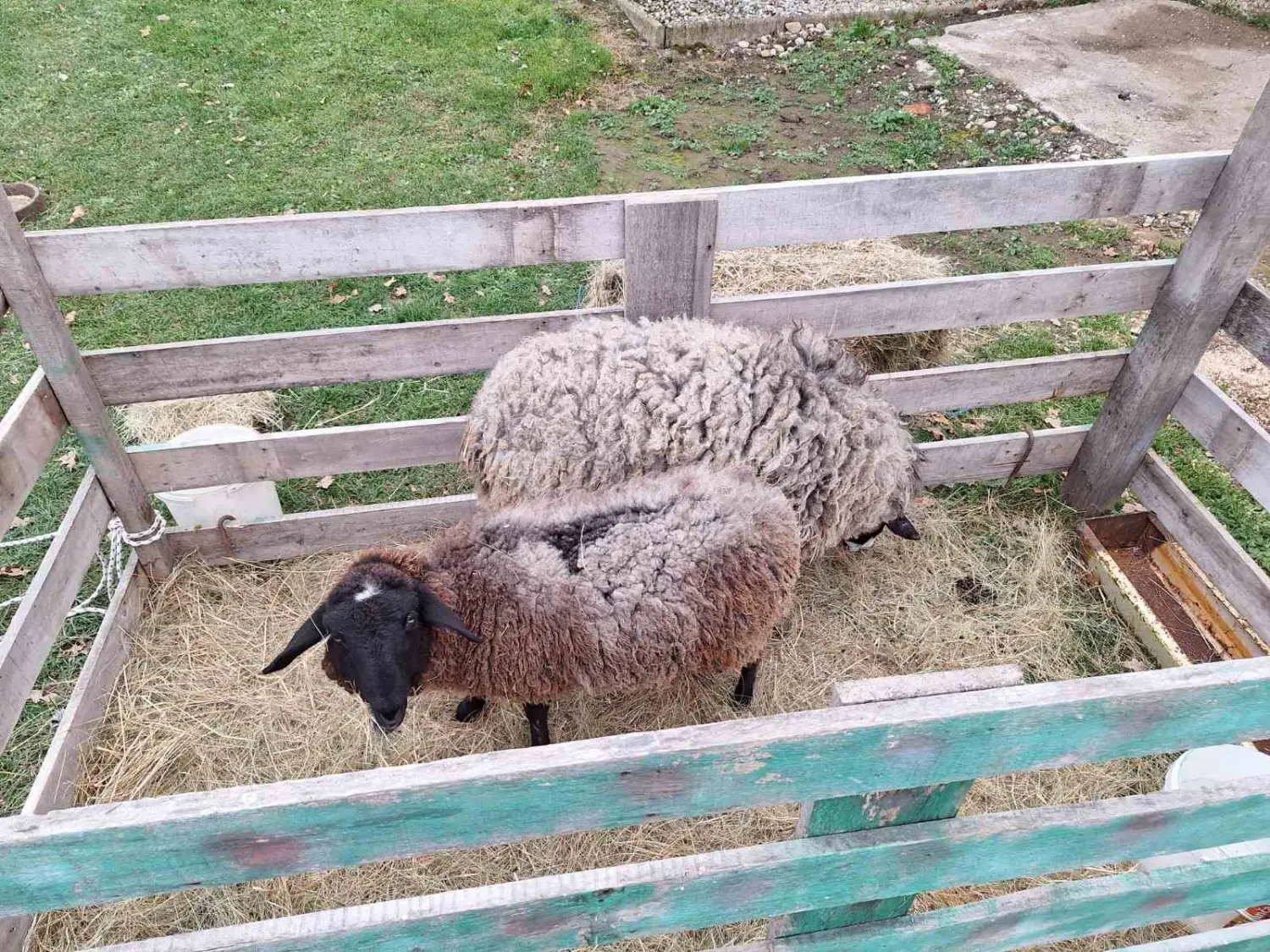 bozicni sajam, Donji vidovec 2024 (60)