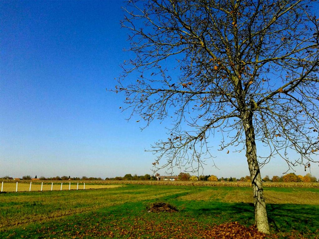 veronikakusekjesenkoprivnica561