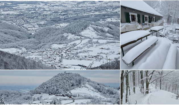 Image 5616157 (auto)