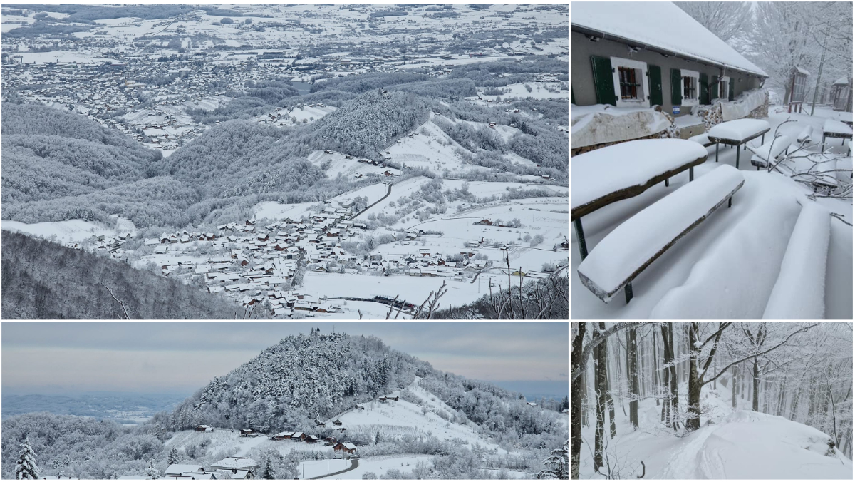 Image 5616157 (auto)