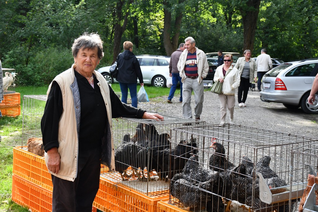 FOTO Kesteni i zelje pravi su hit na čakovečkom sajmu