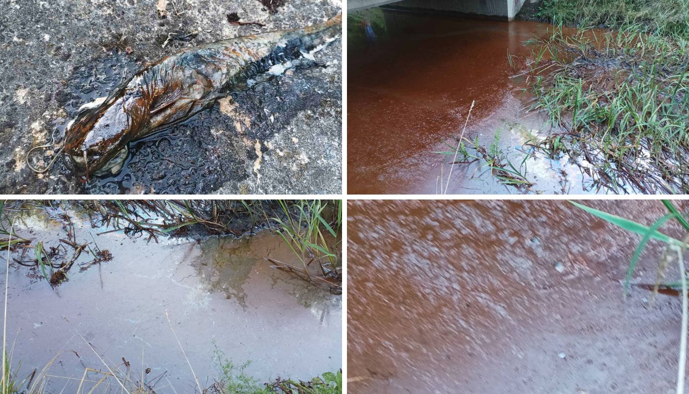 Pomor ribe u Donjem Hrašćanu