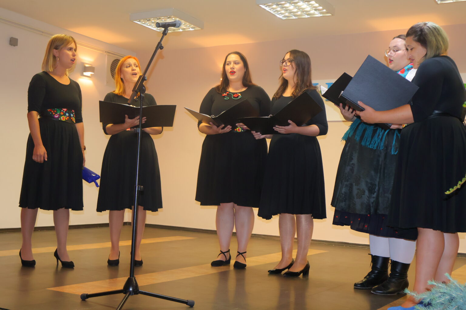 SVEČANO I VESELO Dan mjesta Mihovljan